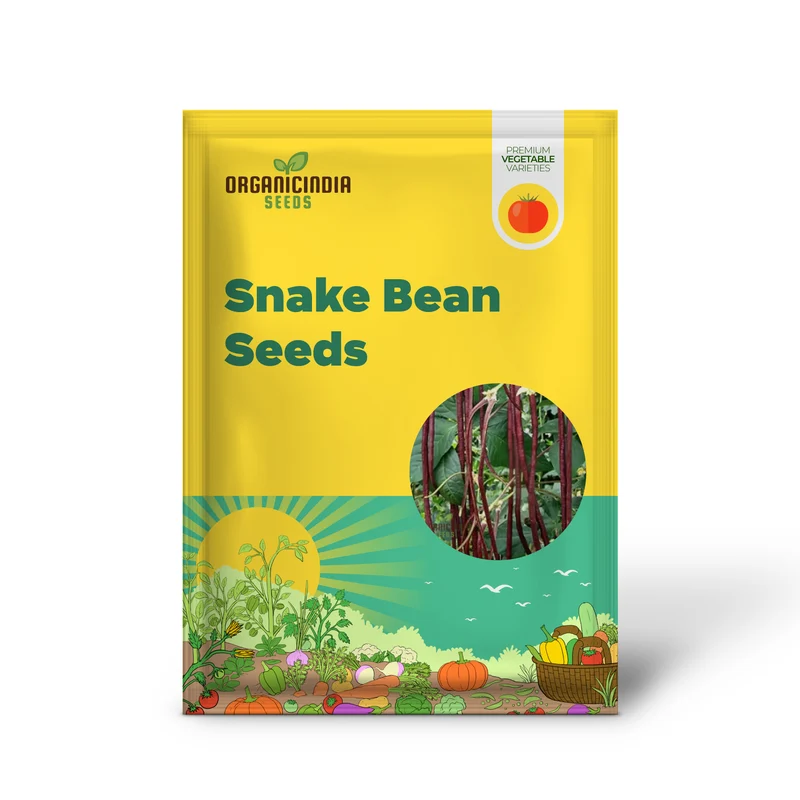 Red Noodle Snake Bean Seeds For Planting and Grow Vibrant Climbing Beans