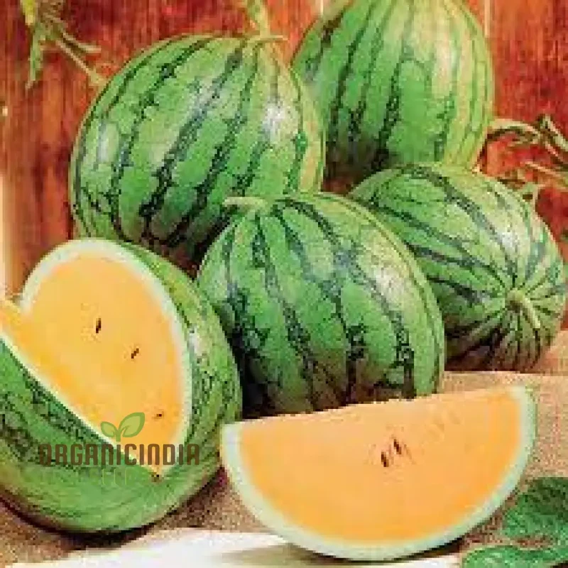 Watermelon Heirloom Mix Seeds Premium Quality Seeds for Planting And Gardening Organic Heirloom Variety