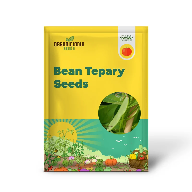 Bean Tepary Blue Seeds For Planting, Grow Unique and Nutritious Blue Beans