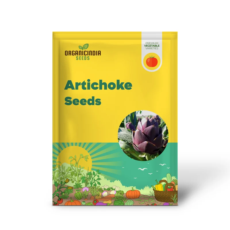 Artichoke - Purple of Romagna Seeds For Planting Grow Beautiful, Nutritious Purple Artichokes