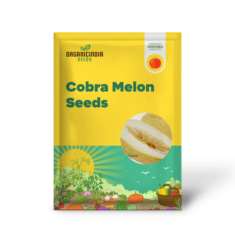 Rockmelon - Indian Cream Cobra Melon Seeds for Planting and Gardening