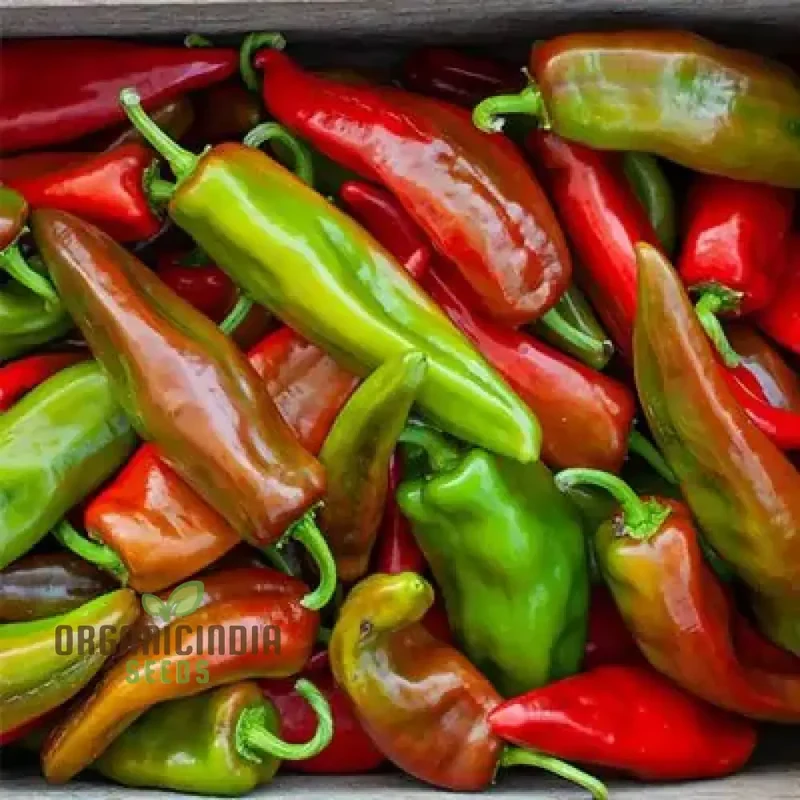 Hot Pepper Seeds - Anaheim Chili for Vibrant Flowers | Ideal for Planting in Your Garden