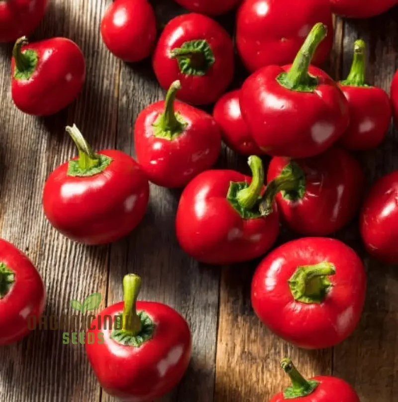 Red Cherry Sweet Pepper Seeds