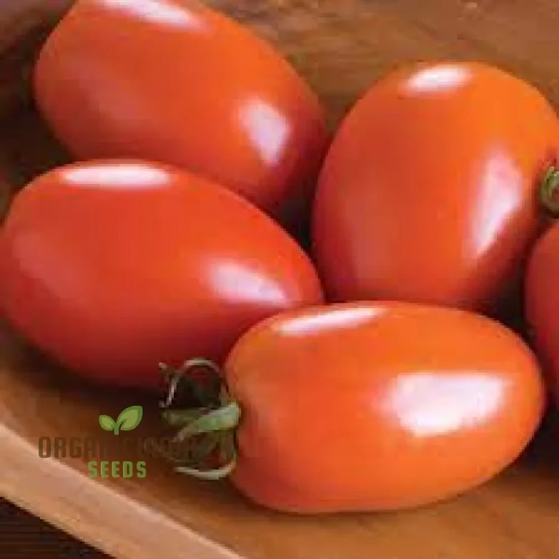 Tomato Seeds - Amish Paste for Juicy Harvests | Premium Garden Planting Seeds