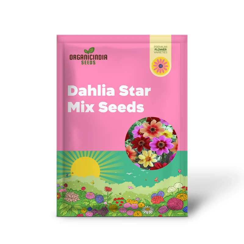 Premium NM Dahlia Top Star Beauty Mix Seeds for Gardening Enthusiasts - Vibrant Flower Varieties for Your Garden