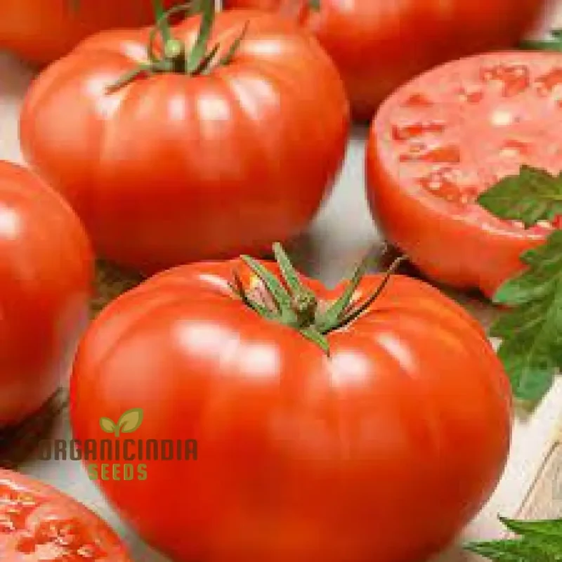 Big Beef Tomato Seeds, Premium Quality for Gardening and Planting