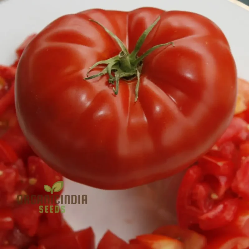 Big Beef Tomato Seeds, Premium Quality for Gardening and Planting