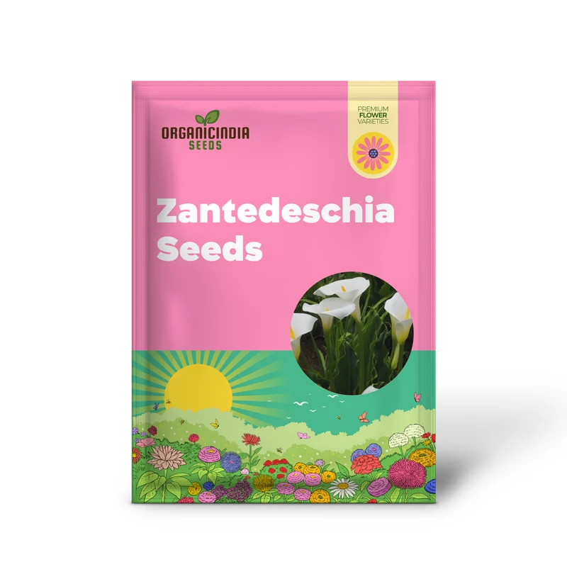 Tropaeolum Majus Nanum Single Mix Flower Seeds, Compact Nasturtiums for Beautiful Displays