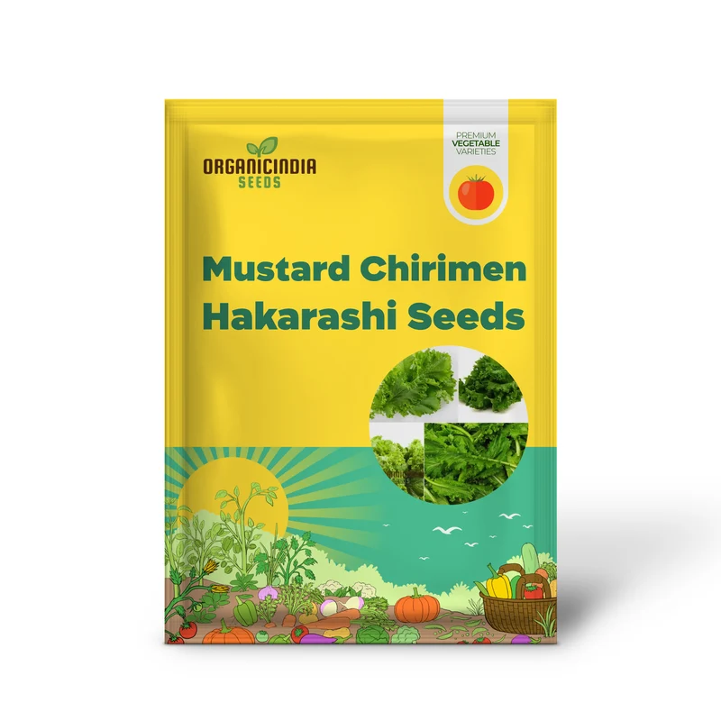 Mustard - Chirimen Hakarashi Vegetable Seeds For Planting, Grow Curled Japanese Mustard Greens for Your Garden