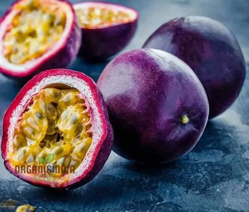 Passionfruit - Red Flamenco F1 Seeds, Premium Seeds for Planting Exotic Passionfruit Vines