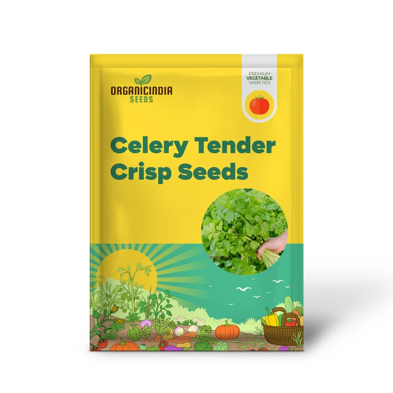 Celery Tender Crisp Seeds for Home Gardening | High-Quality Vegetable Seeds