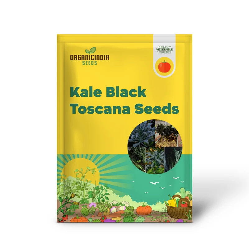 Kale - Black Toscana Vegetable Seeds For Planting, Grow Nutritious and Flavorful Kale