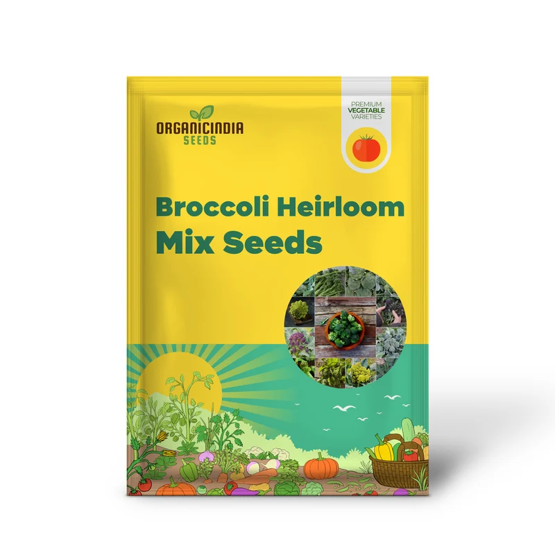 Broccoli - Heirloom Mix Vegetable Seeds For Planting, Diverse Varieties for a Nutritious Garden