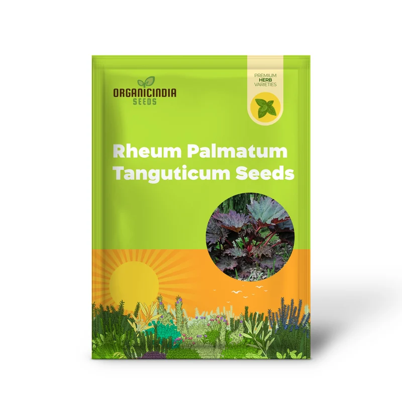 Rheum Palmatum Tanguticum Seeds For Planting, Growing Hardy and Dramatic Plants for Your Garden