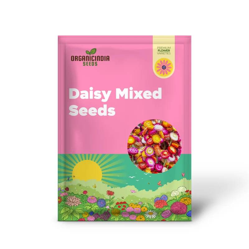 Everlasting Daisy Mixed Seeds – Elevate Your Gardening Experience with Long-Lasting, Vibrant Blooms!
