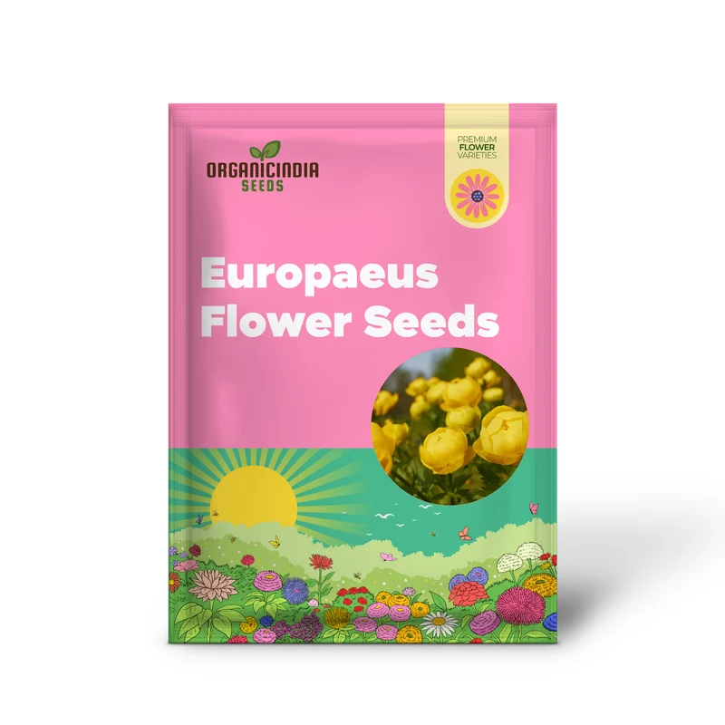 Globeflower Seeds (Trollius Europaeus Seeds) - Vibrant European Blooms for Gardens