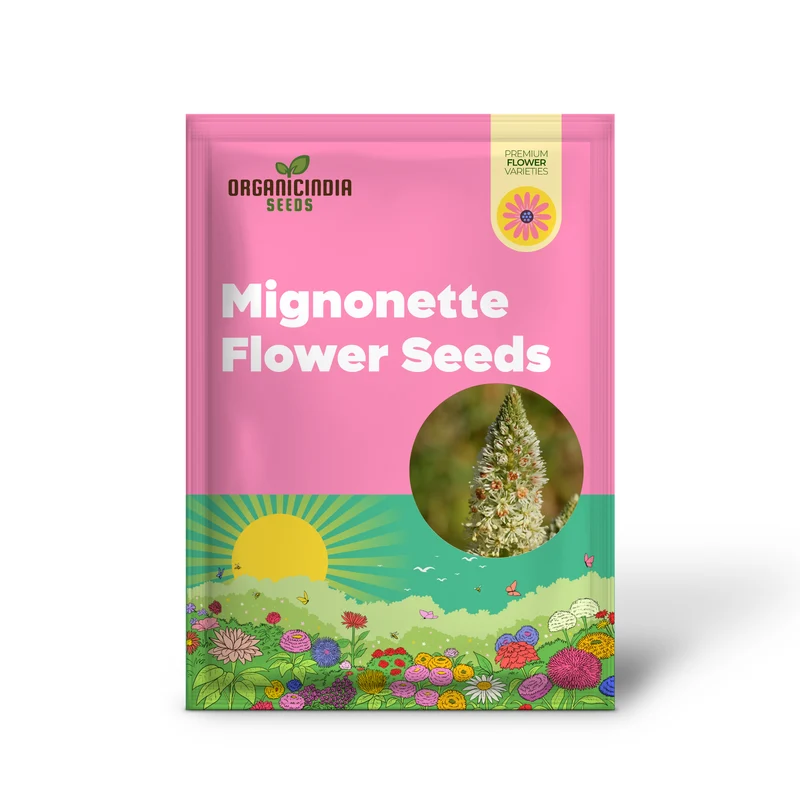 Mignonette (Reseda Alba) Flower Seeds – Ideal for Flower Beds and Borders