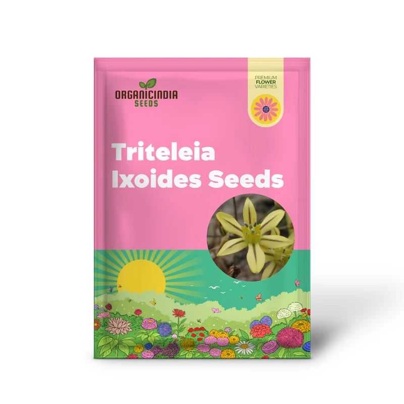 Triteleia ixoides Seeds for Exquisite Garden Blooms | Buy Botanical Seeds for Gardening Enthusiasts