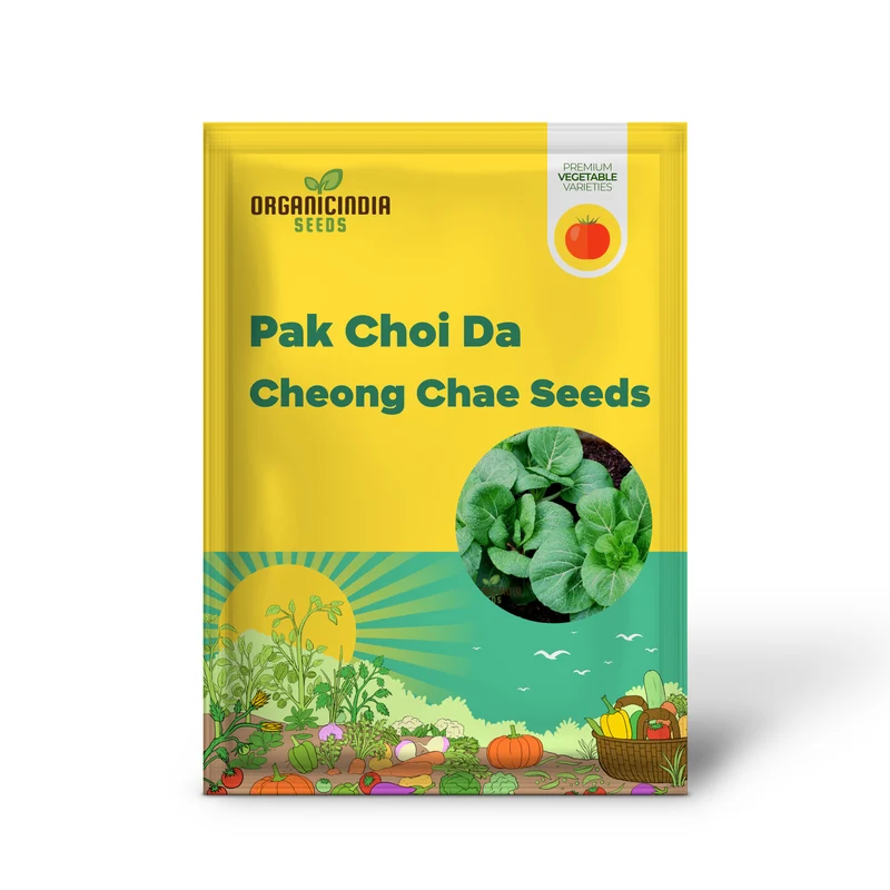 Pak Choi Da Cheong Chae F1 Seeds - Premium Gardening Seeds for Vibrant Greens