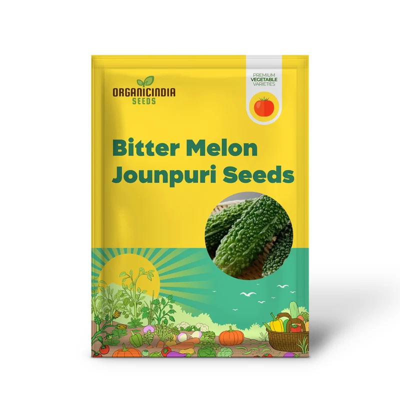 Bitter Melon Jounpuri Seeds - Premium Quality for Your Garden | Buy Seeds Online