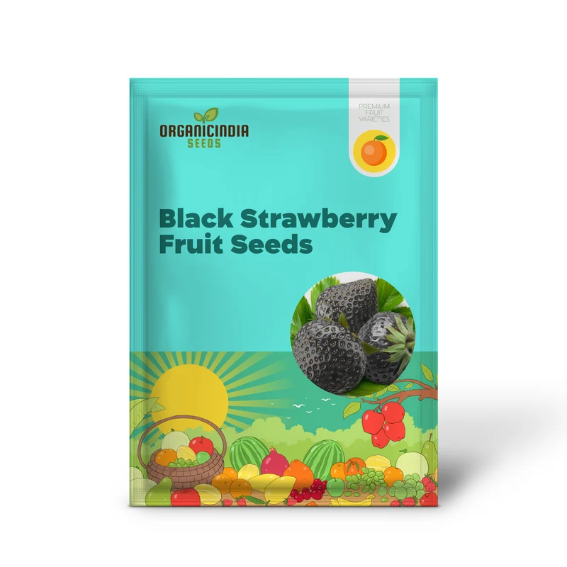 Black Strawberry Seeds For Planting Premium Gardening Delight Cultivate Unique, Juicy Harvests with Our Exclusive Seeds