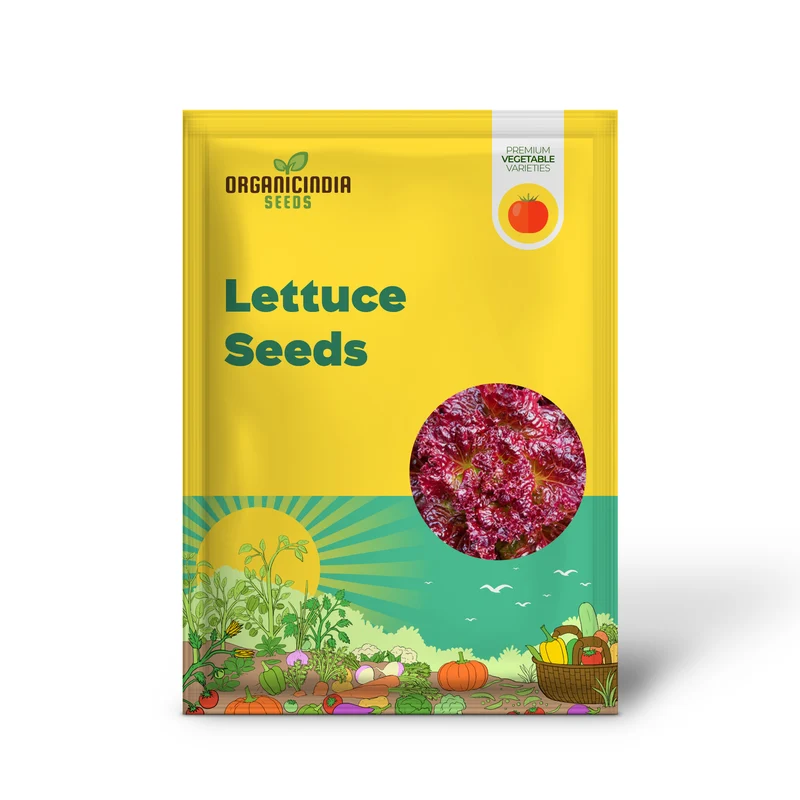 Red Velvet Lettuce Seeds - Grow Your Own Vibrant Garden Delight!