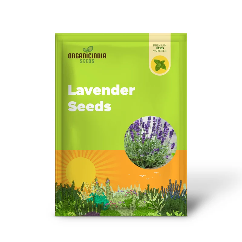 English Lavender Seeds – Fragrant, Hardy Perennial for Garden Borders & Aromatic Landscapes