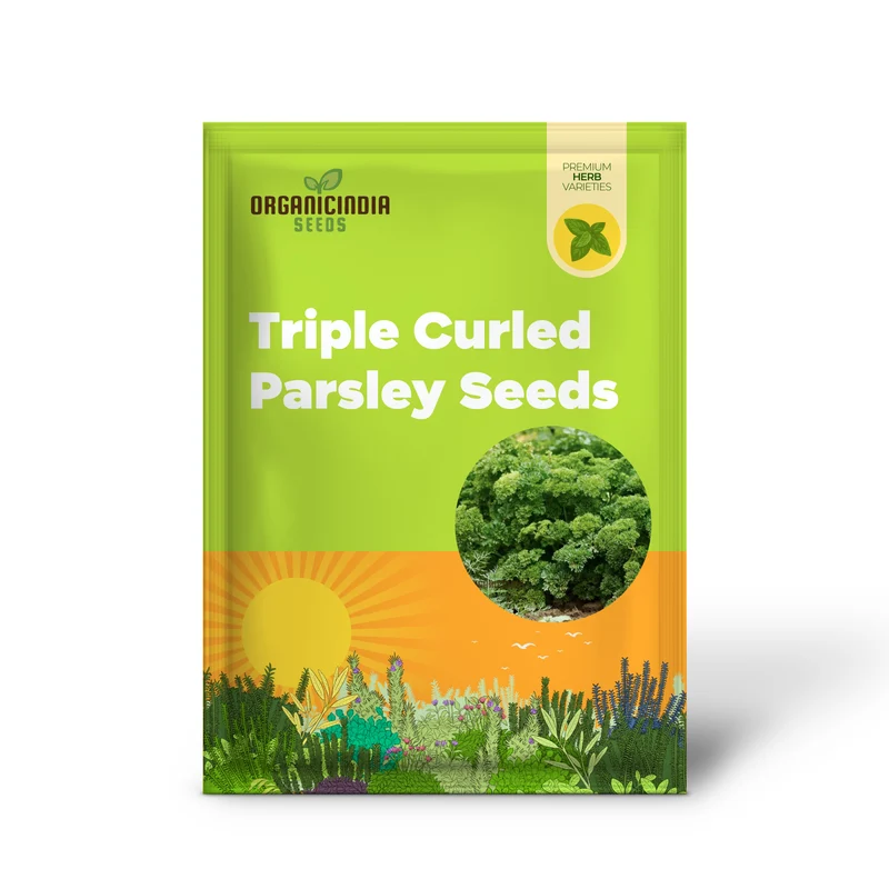 Organic Triple Curled Parsley Seeds – Lush, Fresh Culinary Herb for Home Gardens