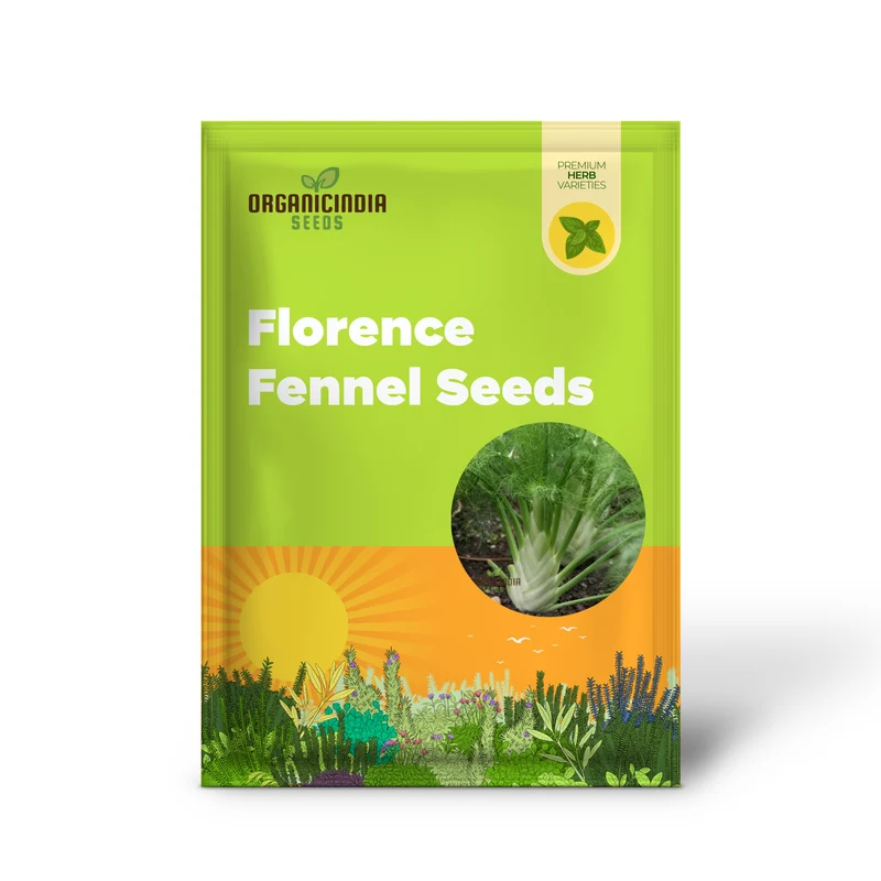 Florence Fennel Seeds – Premium Bulb Fennel for Fresh, Flavorful Home Gardening