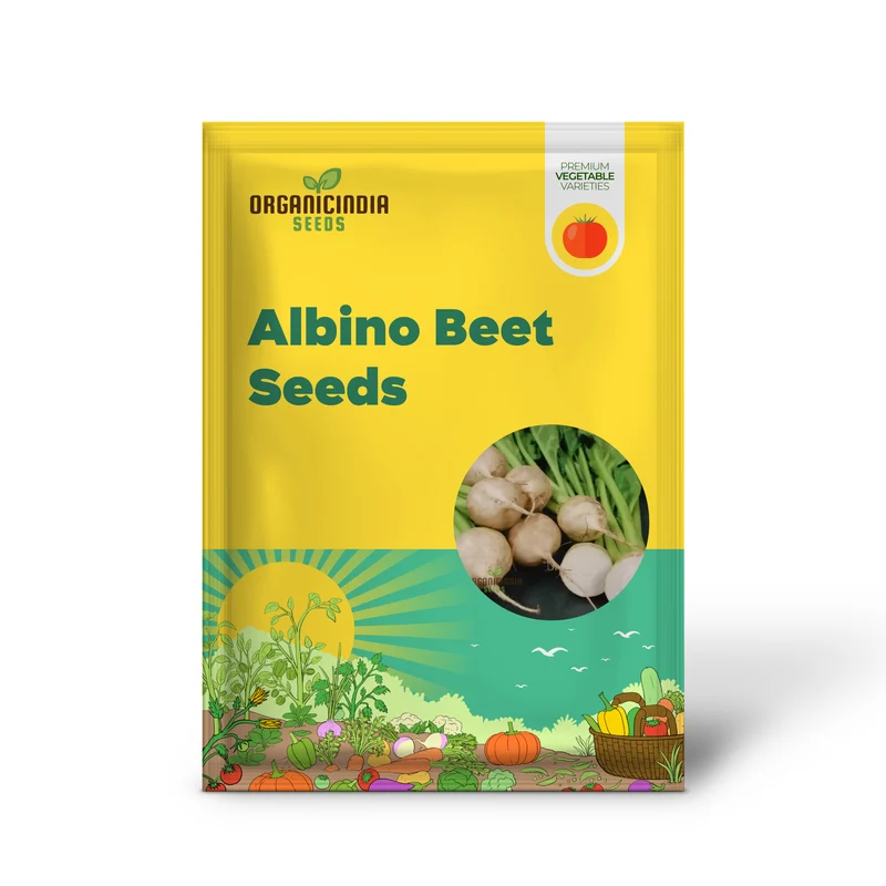 Albino Beet Seeds - Cultivate Unique and Eye-Catching Albino Beets for Your Garden