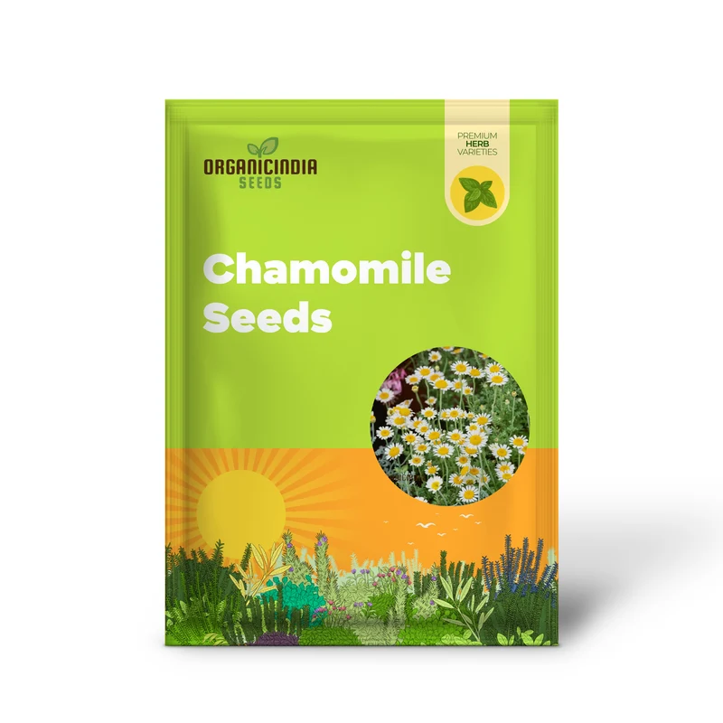 German Chamomile Seeds – Fragrant Blooms for Serene Gardens & Herbal Use