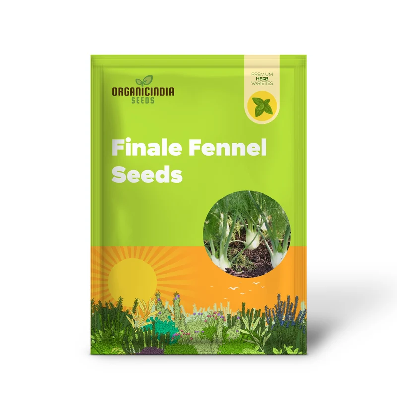 Organic Finale Fennel Seeds – Premium Herb Variety for Home Gardening