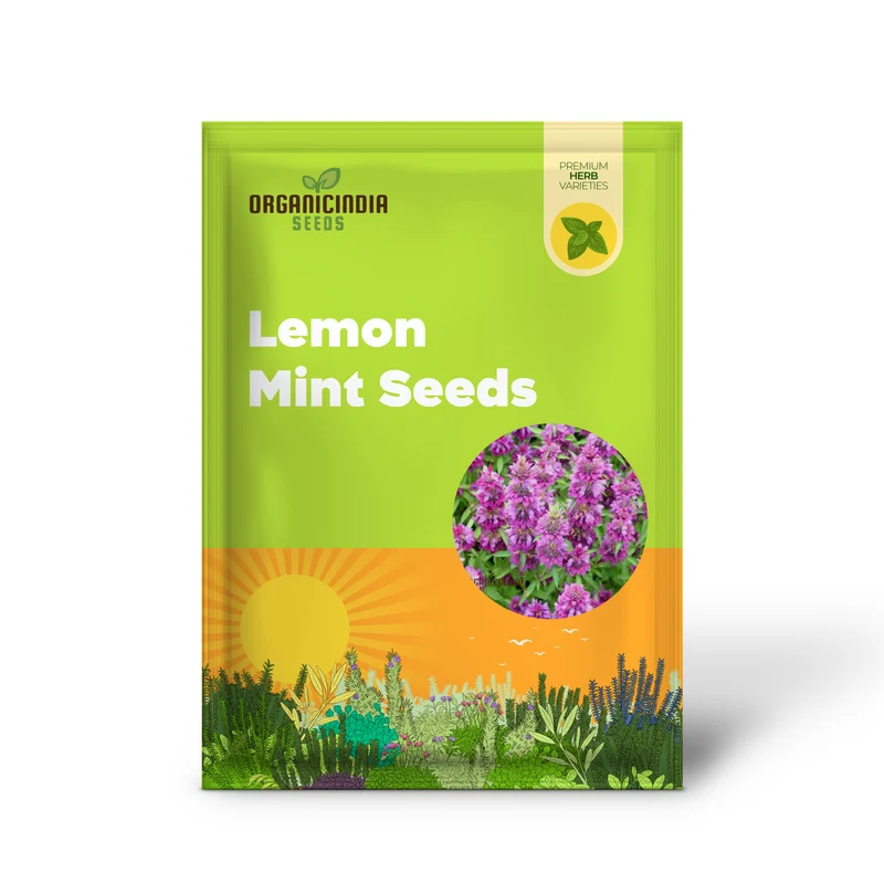 Lemon Mint Seeds for Planting – Fragrant, Fresh-Growing Mint Variety