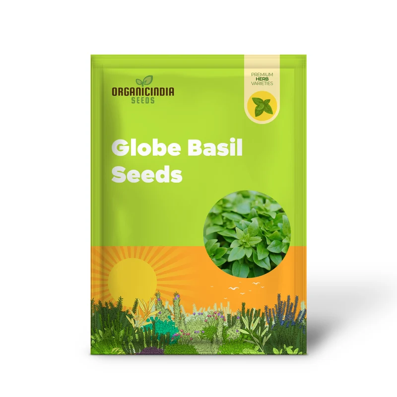 Globe Basil Seeds – Compact Aromatic Herb for Container & Garden Planting