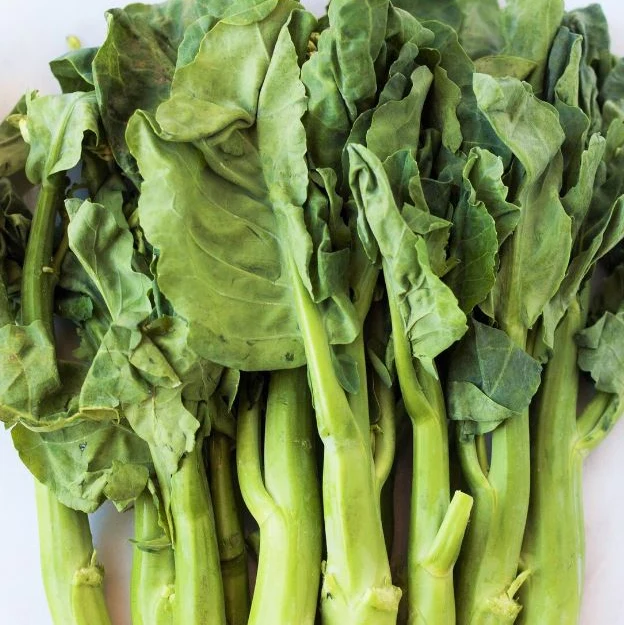 Brocoli chinois 'Big Stem' bio