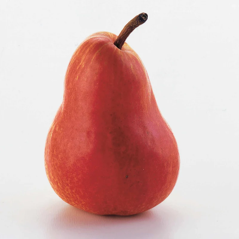 Poirier William's rouge