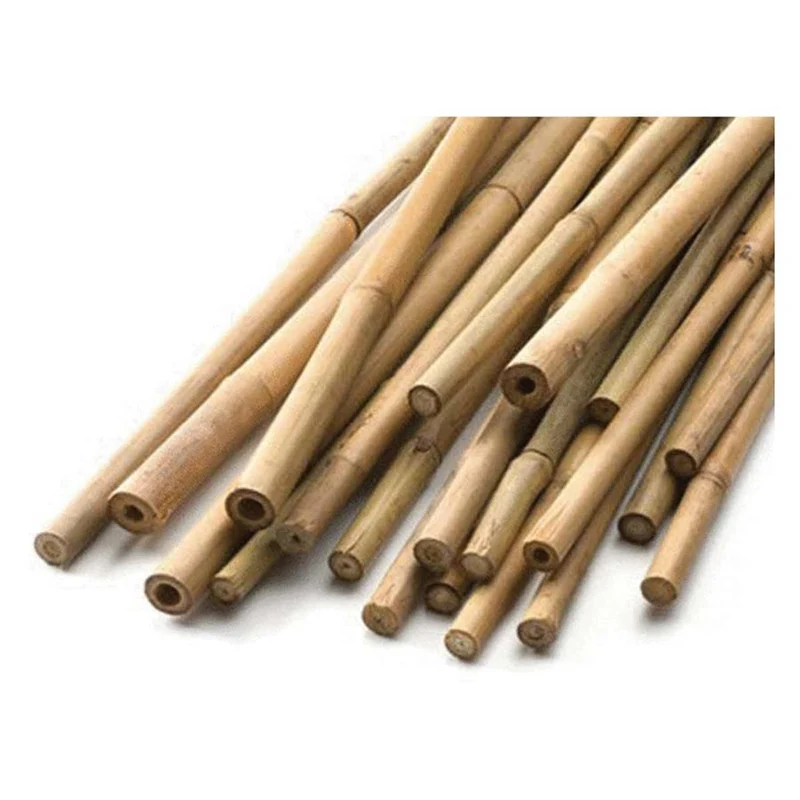 Tuteurs en bambou naturel