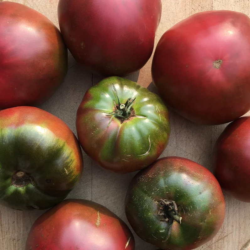 Tomate standard Noire de Crimée - Bio