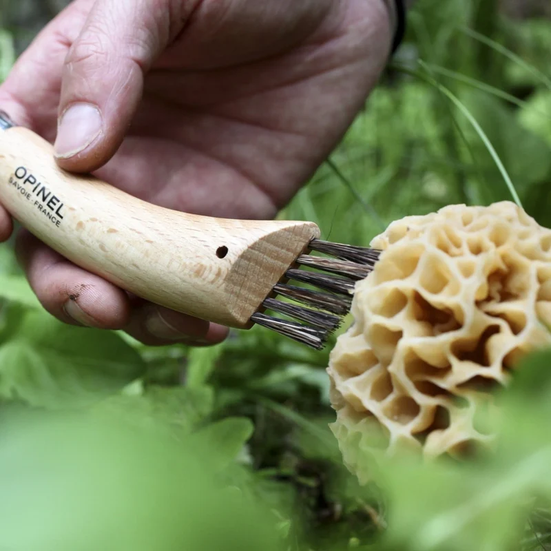 Couteau à champignons #08 d’Opinel