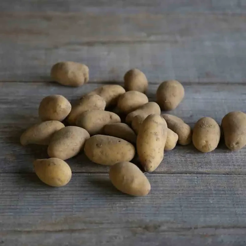 POMME DE TERRE MINETTE AB