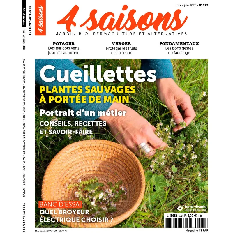 MAGAZINE 4 SAISONS - n272 CUEILLETTE SAUVAGE : Plantes à portée de main