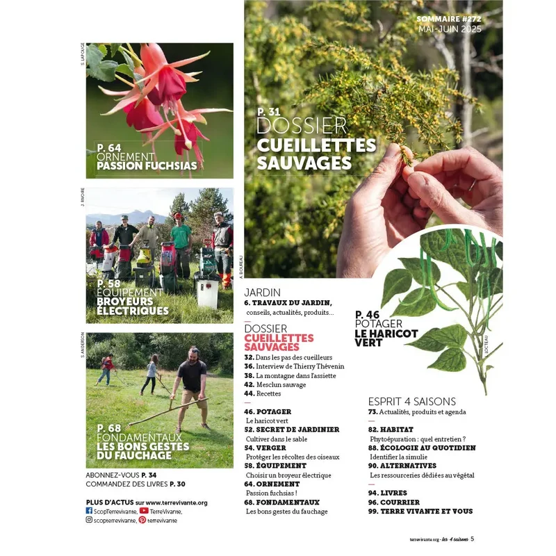 MAGAZINE 4 SAISONS - n272 CUEILLETTE SAUVAGE : Plantes à portée de main