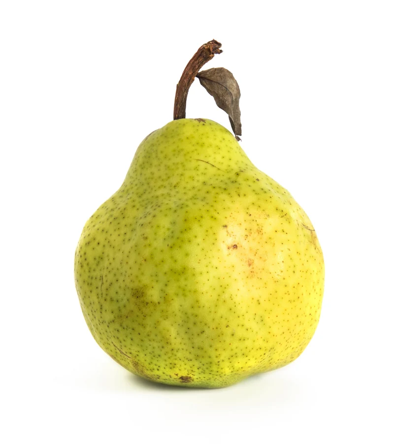 Poire Williams verte