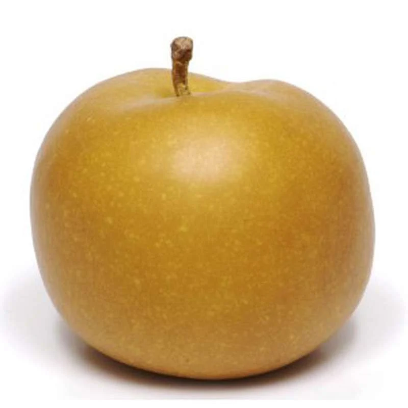 Pomme Canada 2026