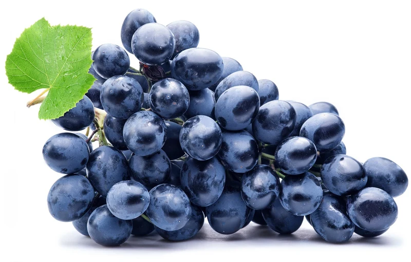 Raisin noir muscat