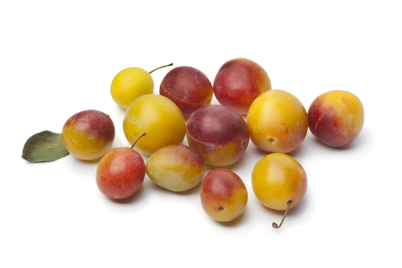 Mirabelle 5kg