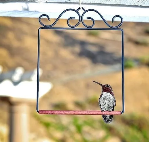 Basketweave 2 Perch Hummingbird Feeder - Blue