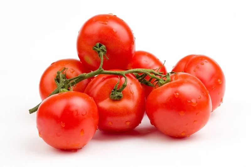 Tomate Ronde bio