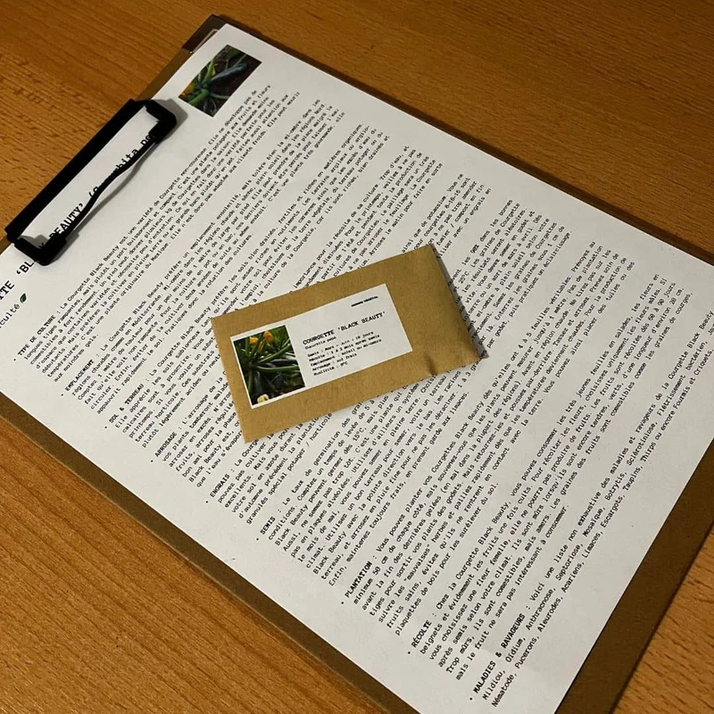 Courgette Black Beauty — Graines