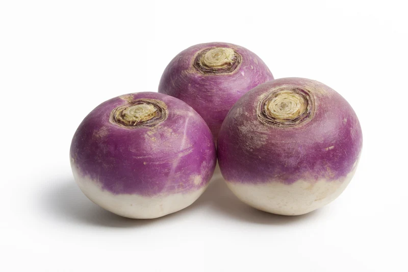 Navet violet